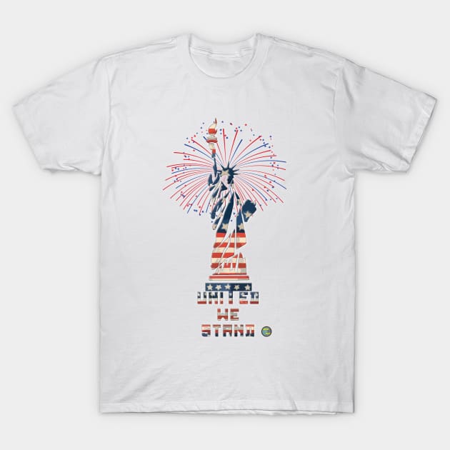 Fireworks at Liberty T-Shirt by bumfromthebay